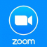 Глава Коломенского городского округа Денис Лебедев проведет Zoom-конференцию для предпринимателей - Коломенская правда