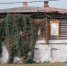 Фотография- Новости Коломны - KolomnaOnline.Ru
