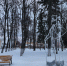Новогодние инсталляции украсили парк Мира в Коломне - Regions.Ru