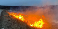 Крупный ландшафтный пожар возник под Коломной - Regions.Ru