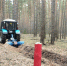 Более 50 километров противопожарных полос обновят в лесах под Коломной - Regions.Ru