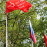 Копию Знамени Победы подняли на коломенским университетом - Regions.Ru