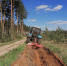 Леса под Коломной готовят к пожароопасному сезону - Regions.Ru