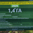 Новости Коломны- В Коломне на землях лесного фонда проходят санитарные рубки и уборка неликвидной древесины - KolomnaOnline.Ru