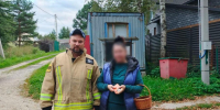 Спасатели разыскали женщину, заблудившуюся в лесу под Коломной - Regions.Ru
