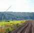 Коломенских аграриев наградили за вклад в развитие сельского хозяйства - Regions.Ru