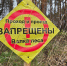 Ветви не оставляют просто так: зачем в лесу под Коломной жгут костры? - Regions.Ru