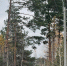 Новые линии освещения обеспечат жителям комфорт и безопасность - Regions.Ru