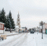 «Новогодний секрет» раскроют в коломенском кремле 30 декабря - Regions.Ru