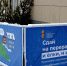 Сдать на переработку хвойные деревья в Коломне можно до 8 февраля - Regions.Ru