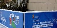 Сдать на переработку хвойные деревья в Коломне можно до 8 февраля - Regions.Ru
