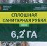 Новости Коломны- В лесах Городского округа Коломна в 2026 году сплошные санитарные рубки запланированы более чем на 12 гектарах - KolomnaOnline.Ru